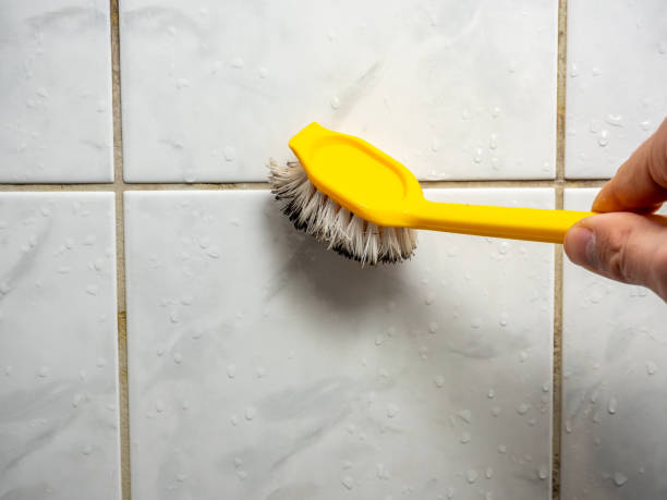 Best Mold Removal and Inspection  in Hargill, TX