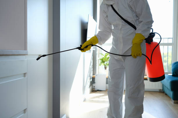 Best Commercial Mold Removal  in Hargill, TX